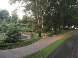 Corriendo en el Central Park