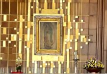 La Devoción por la Vírgen de Guadalupe no Comoce Fronteras