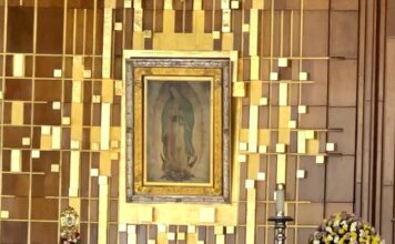 La Devoción por la Vírgen de Guadalupe no Comoce Fronteras
